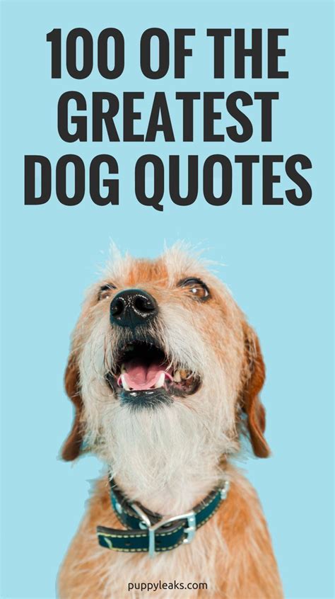 18 dog quotes and puppy quotes for dog and puppy lovers – Artofit