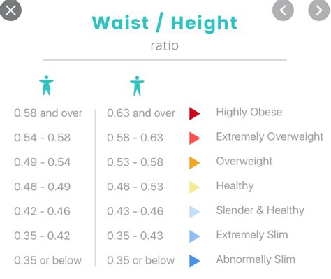 Waist to Height Ratio Calculator / WHtR Calculator - Calculator Academy