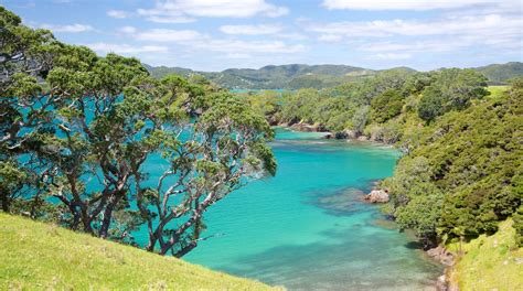 Bay of Islands in Northland | Expedia