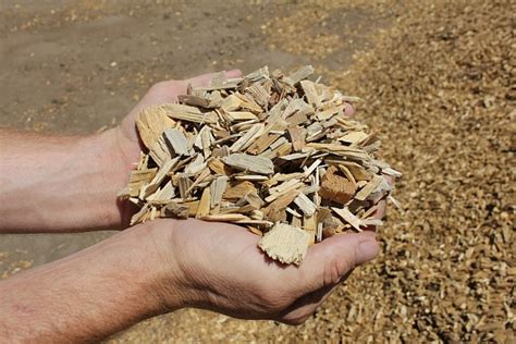 Center for Environment, Commerce & Energy: Wood Pulp Is Used As A Food ...