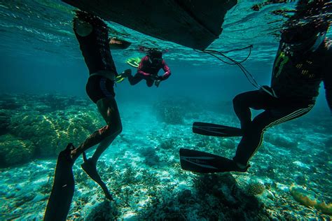 Snorkeling Tubbataha: Exploring Palawan’s Coral Garden of Eden