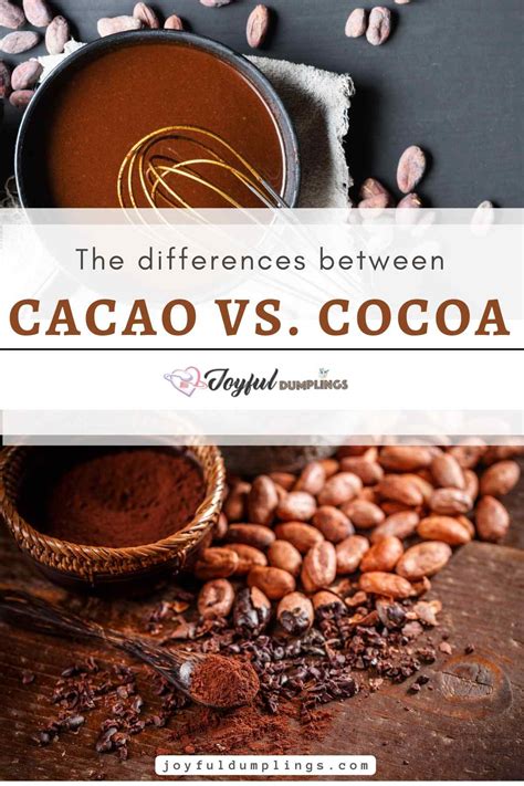 Cacao vs Cocoa – The Real Differences Between Cocoa and Cacao Revealed ...