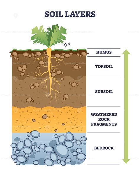 Soil layers with geological ground structure and materials outline ...