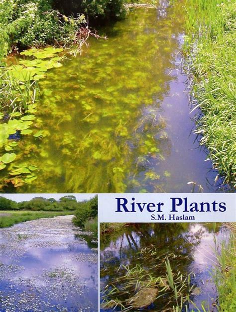 River Plants: The Macrophytic Vegetation of Watercourses | NHBS ...