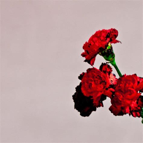 John Legend – All of Me Lyrics | Genius Lyrics