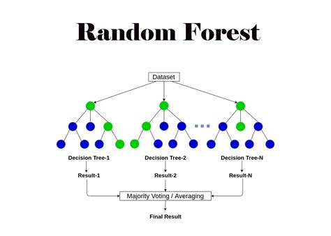 Anas Brital | Random Forest Algorithm Explained