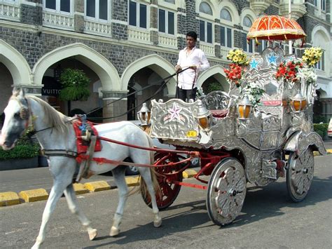 Mumbai Horse Carriage Owners’ Appeal Dismissed by Supreme Court – Ban ...