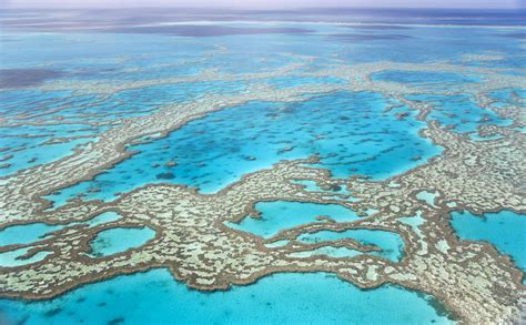 10 Best Great Barrier Reef Tours & Trips 2022/2023 - TourRadar