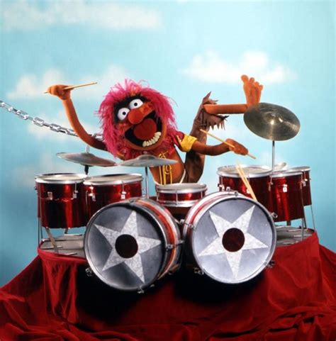 Awasome Animal Muppet Drummer Gif 2022