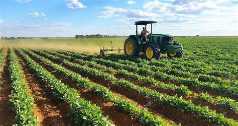 South African Indigenous Food Crops