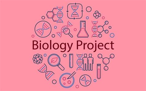 Biology Project for Class 11: Top 50 Ideas & Experiments - Leverage Edu