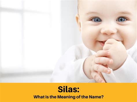 What is the Meaning of the Name Silas?