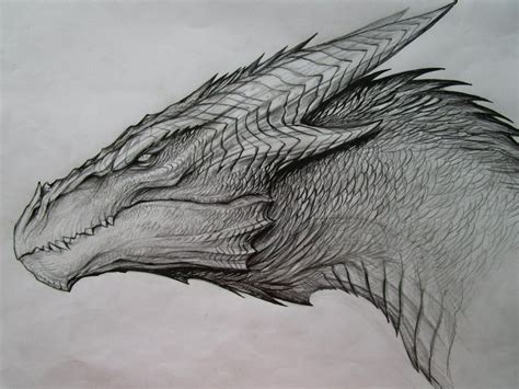 Dragon Sketch by TatianaMakeeva on DeviantArt | Dragon sketch, Dragon ...