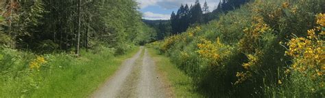 Cowichan Valley Trail, British Columbia, Canada - 49 Reviews, Map ...