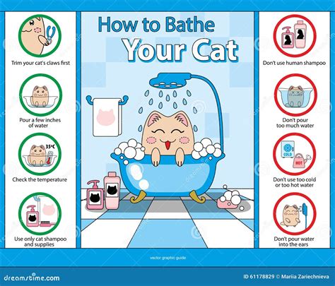 How to Bathe Your Cat: With or Without Water, Not Do-Do - CatBounty