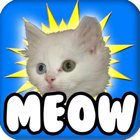 ! Cat Meow Meow, #1 You Are My Sunshine (feat. Fun Kitty Cat Song ...