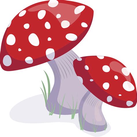 Download Mushrooms, Fungi, Toadstools. Royalty-Free Vector Graphic ...