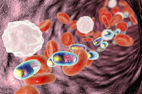 Clinical Applications of Chitosan Nanoparticles