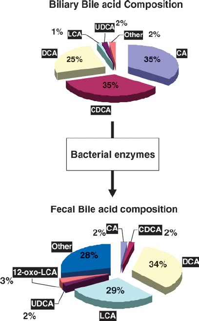 Composition of bile acids in the gallbladder and feces of healthy ...