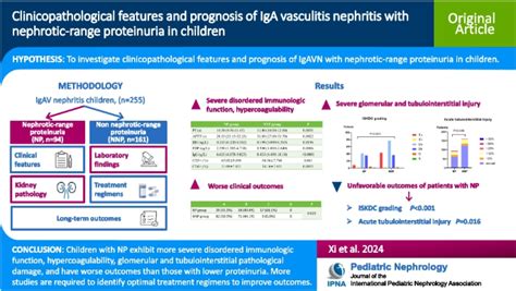 Clinicopathological features and prognosis of IgA vasculitis nephritis ...