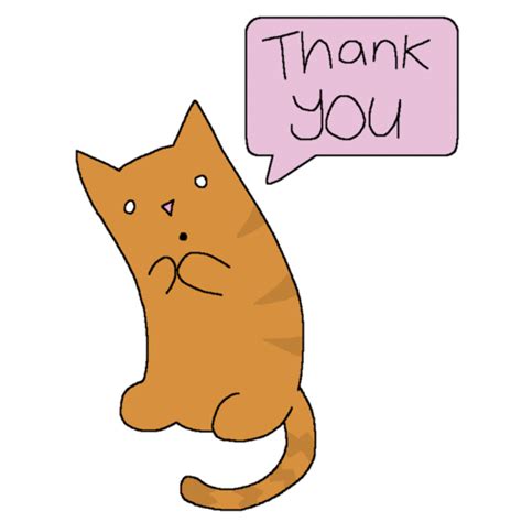 animals thank you | Dancing dog gif, Thank you gifs, Brown cat