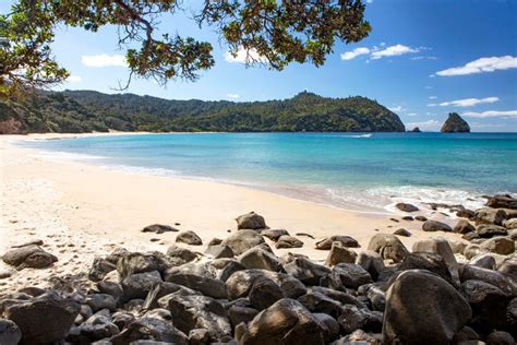 Coromandel Beaches: Best Beaches On The Coromandel Peninsula, New Zealand