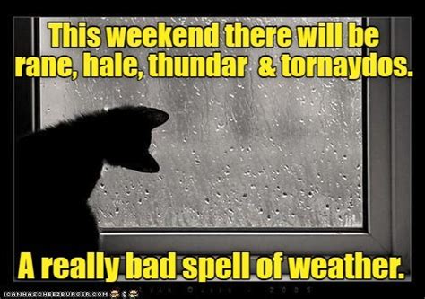 Stay indoors. - Lolcats - lol | cat memes | funny cats | funny cat ...