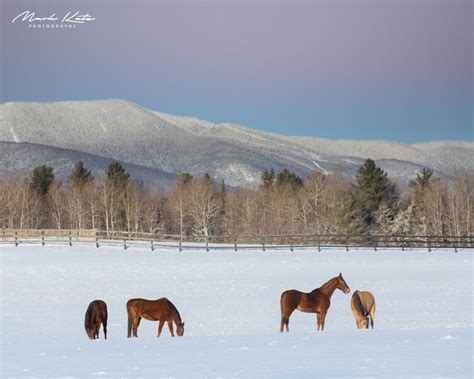 Vermont Winter Landscapes on Behance