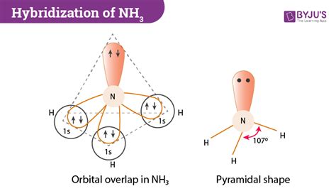 The shape of ammonia molecule according to VSEPR theory is