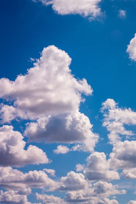 White Cumulus Clouds | Cumulus clouds, Cloud photos, Clouds