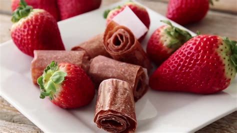 Fruit Leather - Dehydrator Recipes | Ezidri NZ