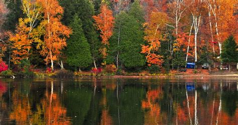 Enjoy Fall Foliage in the Finger Lakes on These Scenic Drives