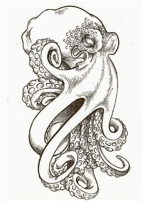 Octopus Drawing Octopus Tattoo Design Octopus Tattoos T – NBKomputer