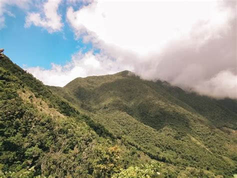 Hiking in the Blue Mountains: At sunrise over the rooftops of Jamaica