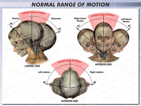 Normal Range Of Motion Chart