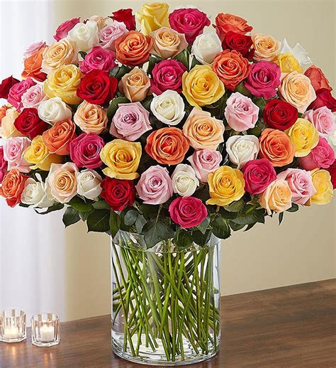 100 Premium Long Stem Multicolored Roses | 1800Flowers.com - 163010