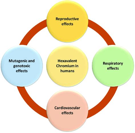 Toxicological effects of hexavalent chromium on humans. | Download ...