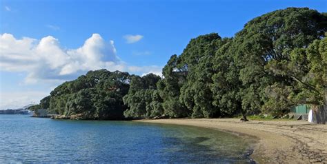 sconzani: Auckland walks: the Herne Bay Beaches