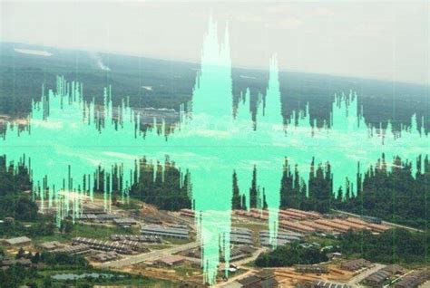 Strange trumpeting noises heard in Alabama — Earth Changes — Sott.net