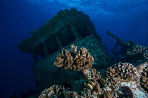 Scuba Diving Oahu: 5 Stunning Dive Sites Not To Miss Out On ...