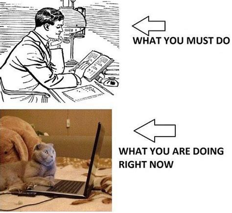 Isn't it cool? | Studying funny, Best funny pictures, Funny images