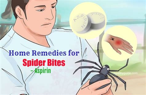 13 Natural Home Remedies for Spider Bites on Arms, Legs, Ankle, & Eyelid