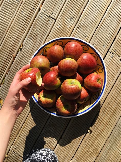 First apple harvest from my first apple tree. : gardening