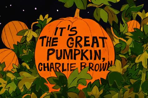 Charlie Brown Pumpkin Patch Wallpaper