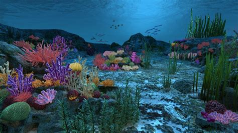 ocean floor coral reefs 3d max