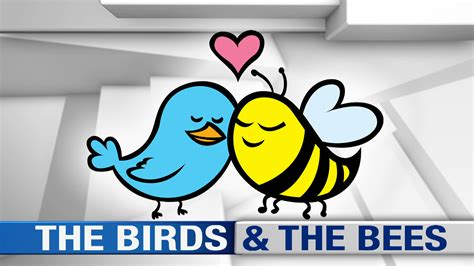 The Birds and the Bees | EVIL ENGLISH