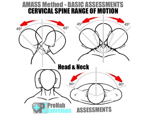 prehab-exercises-amass-method-basic-assessments-for-running-cervical ...