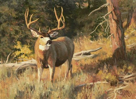 Brian Grimm Mule Deer Paintings | Deer painting, Wildlife art, Hunting art