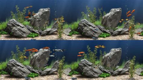 梦幻水族馆海底游鱼3D屏保动画4K视频素材舞台背景,全息互动舞台背景下载,高清3840X2160视频素材下载,凌点视频素材网,编号:177367