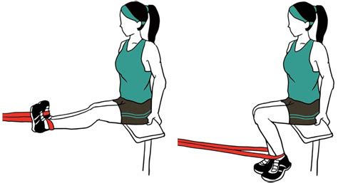 Resistance Loop Band Exercises: Ultimate Workout Guide